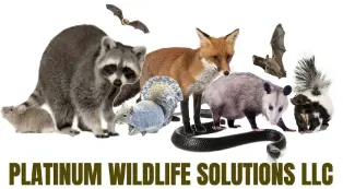 Platinum-Wildlife-Control-Solutions-Company-Maryland